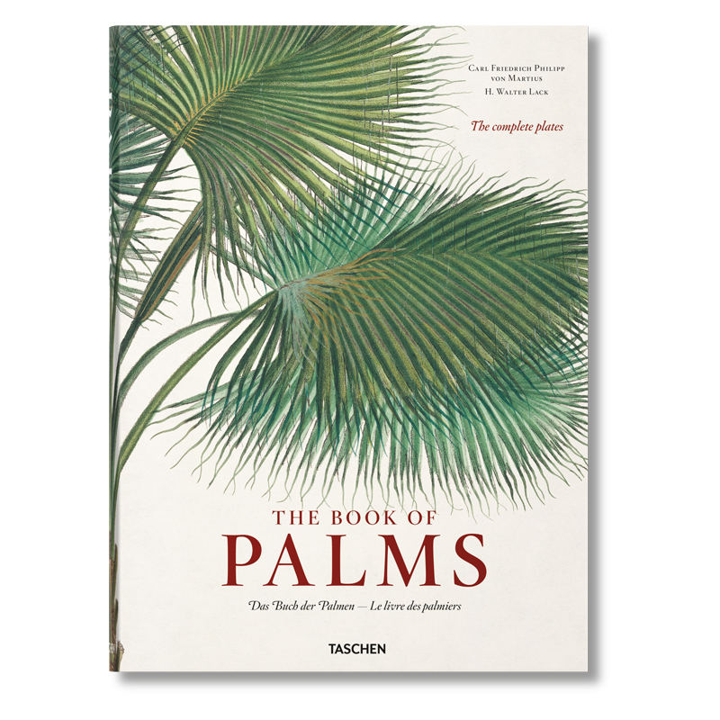 Книга The Book of Palms  в Сочи | Loft Concept 