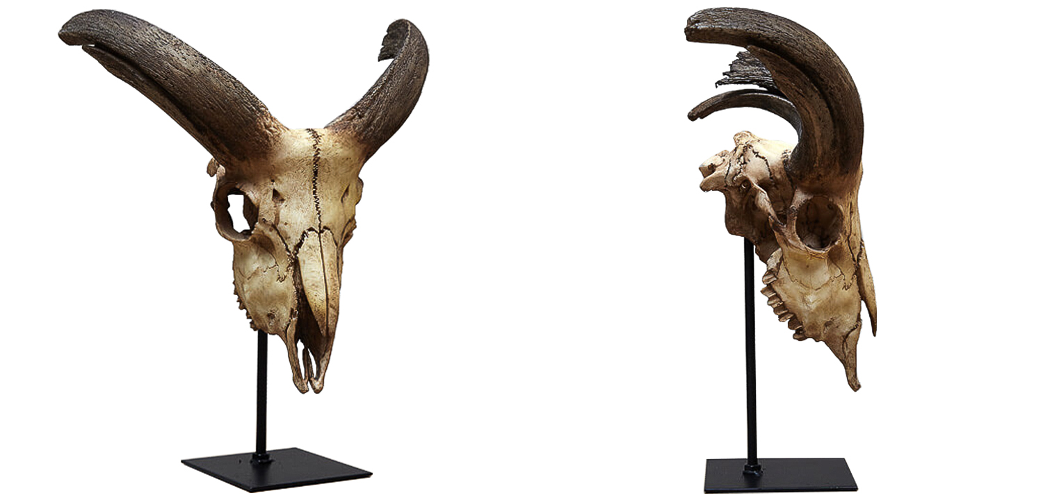 Аксессуар Goat Skull - фото №1