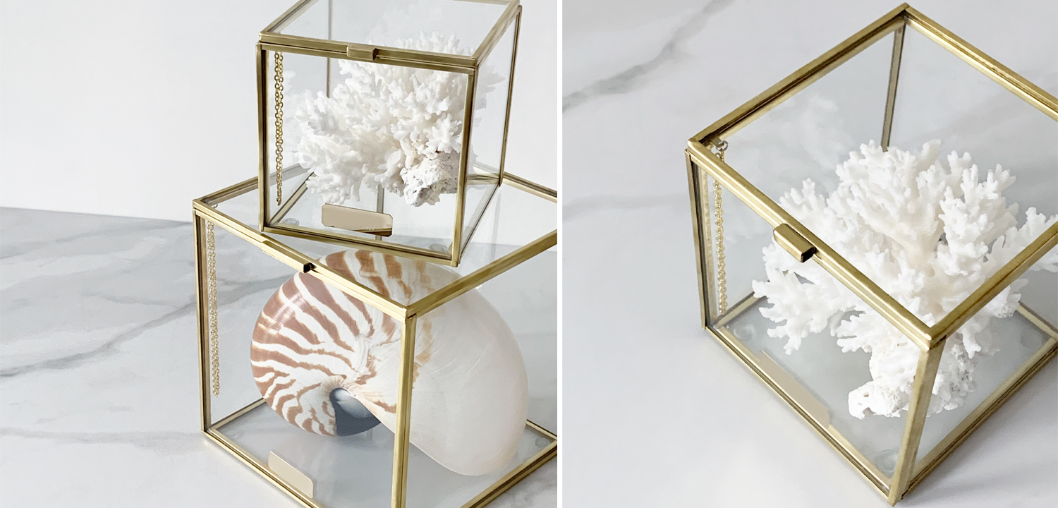 Статуэтка Natural Coral Glass Box S - фото