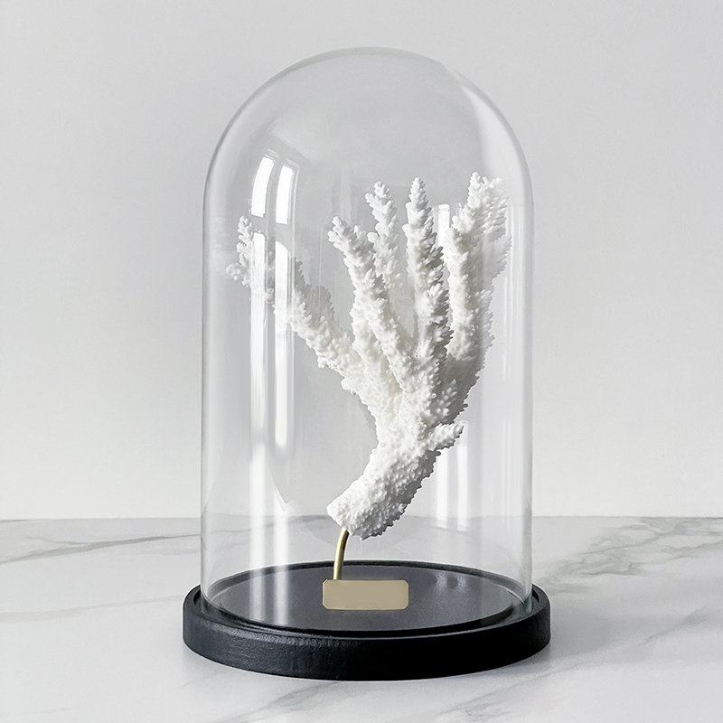 Статуэтка Natural Coral Branch Glass Cloche  в Сочи | Loft Concept 