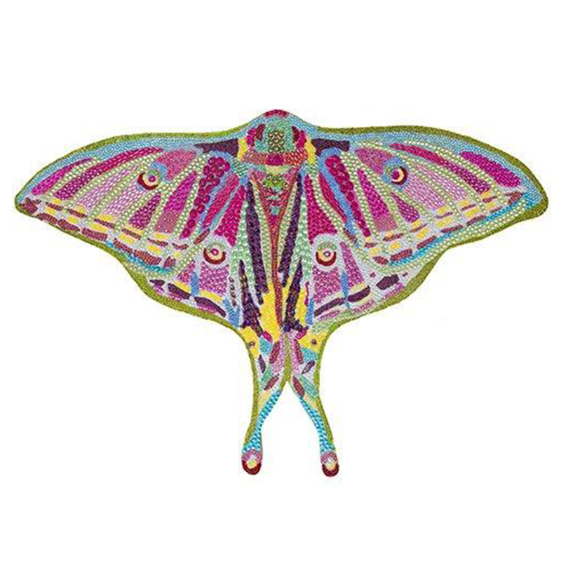 Картина “Spanish Moon Moth Butterfly Cut Out” Мульти в Сочи | Loft Concept 