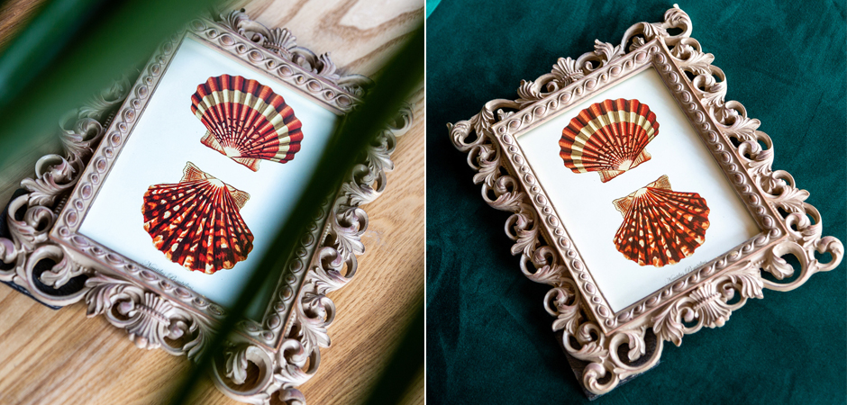 Постер Red Scallop Poster - Loft-Concept в Сочи