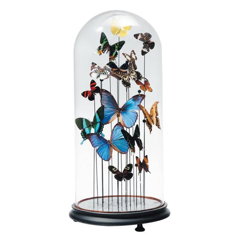 Статуэтка 15 Butterflies Glass Cloche  в Сочи | Loft Concept 