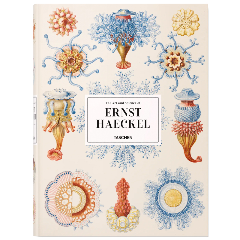 The Art and Science of Ernst Haeckel XXL  в Сочи | Loft Concept 