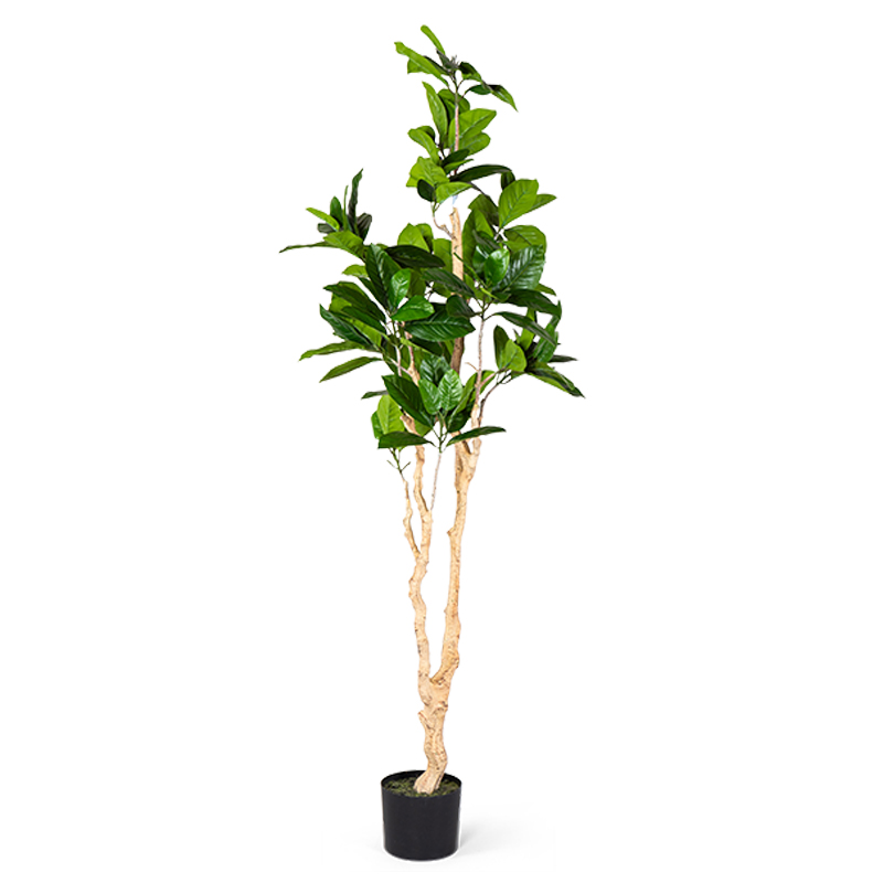 Декоративный искусственный цветок Decorative Tree h187 Зеленый в Сочи | Loft Concept 