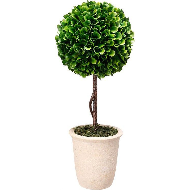 Декоративный искусственное растение Single boxwood Зеленый Бежевый Коричневый в Сочи | Loft Concept 