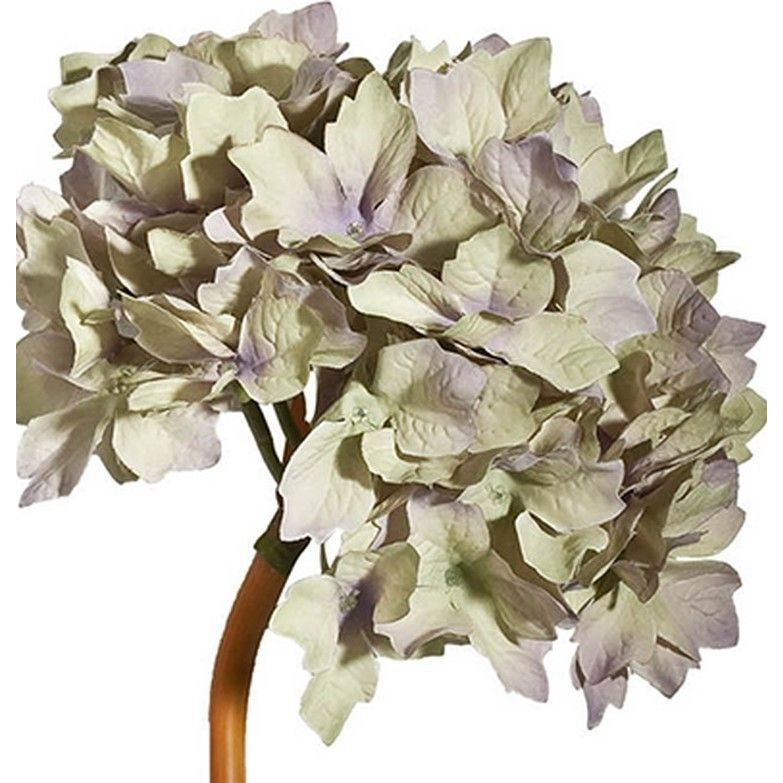 Декоративный искусственное растение Beige hydrangea Черный Бежевый Коричневый в Сочи | Loft Concept 