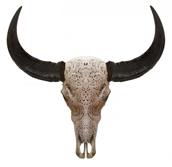 Череп буйвола с резьбой Buffalo Skull Tribal Carving Белый в Сочи | Loft Concept 