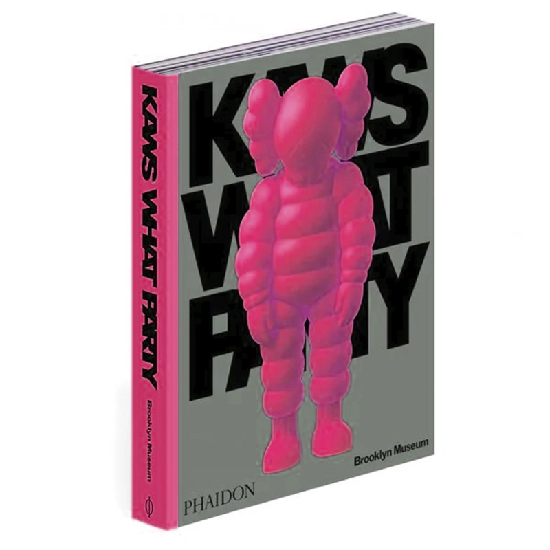 KAWS: What Party PINK Limited Edition в коробке Розовый Серый в Сочи | Loft Concept 