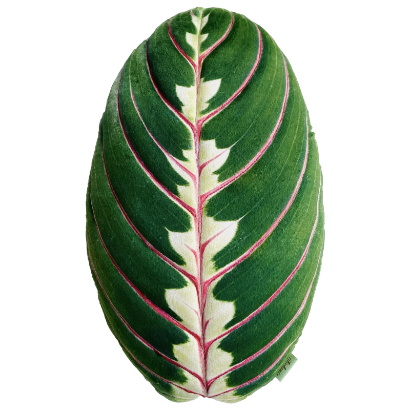 Декоративная подушка Botanical Cushion Maranta Trikolor Зеленый Бургундский красный в Сочи | Loft Concept 