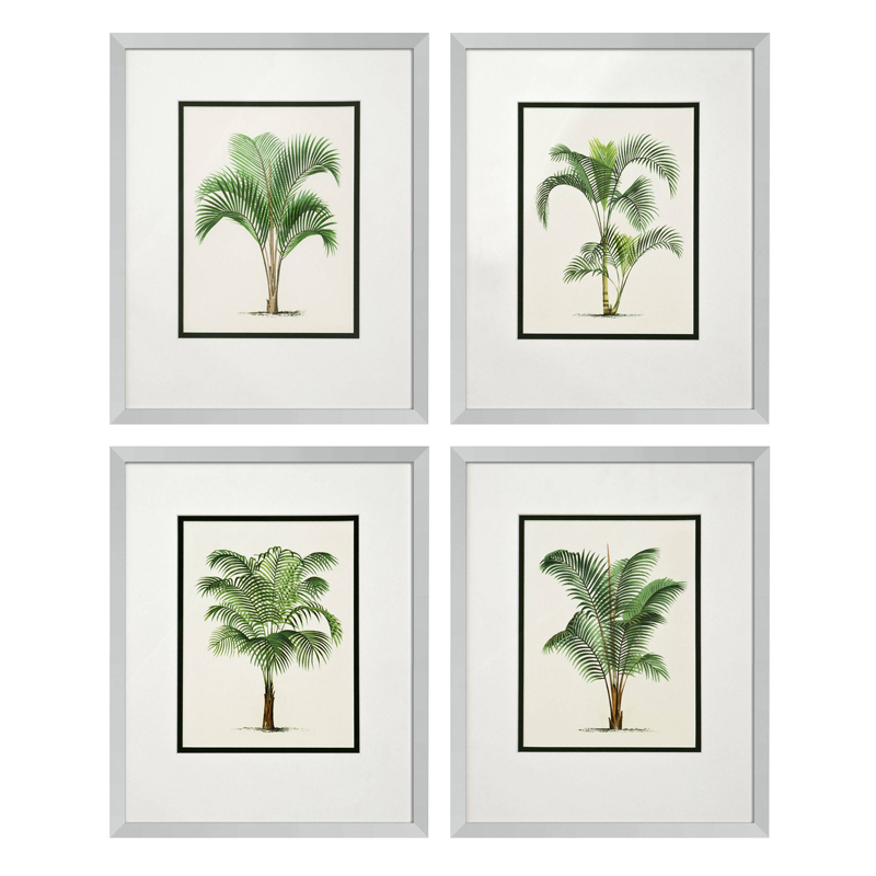 Комплект постеров Eichholtz Prints Palms set of 4 Белый Зеленый Серебряный в Сочи | Loft Concept 