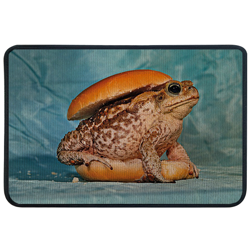 Ковер для прихожей и ванной Seletti Toad Rug Мульти Голубой в Сочи | Loft Concept 