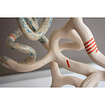 Скульптура «Papañca» варинант исполнения - 3 | Loft Concept в Сочи