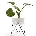 Кашпо Elevated Planters Luna 54 белое варинант исполнения - 2 | Loft Concept в Сочи