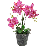 Декоративный искусственное растение Pink orchid варинант исполнения - 1 | Loft Concept в Сочи