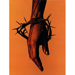 Подарочная книга величайший фотограф Альберт Уотсон The Vienna album Albert Watson варинант исполнения - 4 | Loft Concept в Сочи