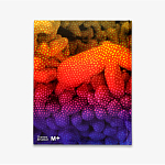 Редкое подарочное издание Yayoi Kusama: 1945 to Now варинант исполнения - 3 | Loft Concept в Сочи