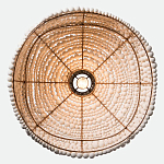 Подвесной светильник в виде купола декорированный белыми деревянными бусинами White Wooden Beads Hanging Lamp варинант исполнения - 4 | Loft Concept в Сочи