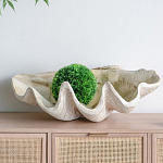 Блюдо декоративное в виде ракушки Seashell варинант исполнения - 3 | Loft Concept в Сочи