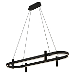 Люстра подвесная овальная черная  Black Light Fixtures варинант исполнения - 1 | Loft Concept в Сочи