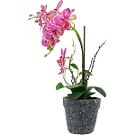 Декоративный искусственное растение Pink orchid варинант исполнения - 4 | Loft Concept в Сочи