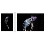 Монография художника Tavares Strachan - There is Light Somewhere варинант исполнения - 6 | Loft Concept в Сочи