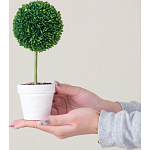 Декоративный искусственное растение Boxwood One варинант исполнения - 6 | Loft Concept в Сочи