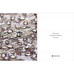 Книга Maison Lesage: Haute Couture Embroidery Mauries Patrick варинант исполнения - 11 | Loft Concept в Сочи