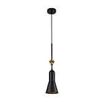 Подвесной светильник с конусным плафоном и декоративной звездой 57 см Elstead Lighting варинант исполнения - 15 | Loft Concept в Сочи