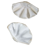 Фигурка из фарфора в виде одной створки ракушки Marine Tridacna варинант исполнения - 3 | Loft Concept в Сочи