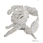 Статуэтка краб с детализированной текстурой в белом цвете Marine Accessories варинант исполнения - 4 | Loft Concept в Сочи