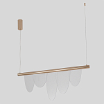 Люстра подвесная с пятью прозрачными элементами в форме лепестков и золотистым металлическим основанием DALI Tonin Casa варинант исполнения - 2 | Loft Concept в Сочи