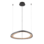 Люстра светодиодная  Iris варинант исполнения - 2 | Loft Concept в Сочи