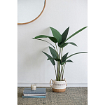 Декоративный искусственное растение Decor Stile  варинант исполнения - 7 | Loft Concept в Сочи