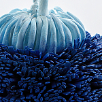 Статуэтка Синий тропический фрукт Tropical Fruit Pandora 1 варинант исполнения - 4 | Loft Concept в Сочи