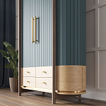 Шкаф «Гавайи» варинант исполнения - 2 | Loft Concept в Сочи