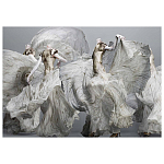 Alexander McQueen: Savage Beauty варинант исполнения - 2 | Loft Concept в Сочи