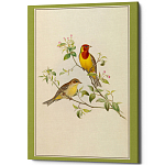 Постер на холсте с изображением птиц Blooming Birds Poster варинант исполнения - 12 | Loft Concept в Сочи