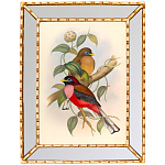 Постер с изображением птиц и цветов в зеркальной раме Blooming Birds Poster варинант исполнения - 7 | Loft Concept в Сочи
