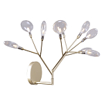 Бра в виде ветвей с прозрачными круглыми плафонами Moooi варинант исполнения - 1 | Loft Concept в Сочи