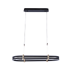 Люстра светодиодная в форме овала из акрила и алюминия с пультом для регулировки света Ring Horizontal Anthracite варинант исполнения - 1 | Loft Concept в Сочи