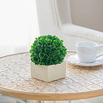 Декоративный искусственное растение Square boxwood варинант исполнения - 6 | Loft Concept в Сочи