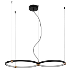 Люстра подвесная светодиодная черный металл Ring Horizontal варинант исполнения - 9 | Loft Concept в Сочи