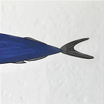 Плитка с узором Рыба пловчиха варинант исполнения - 6 | Loft Concept в Сочи