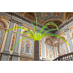 Дизайнерский торшер в виде пальмы Poltronova Sanremo Floor Lamp варинант исполнения - 9 | Loft Concept в Сочи