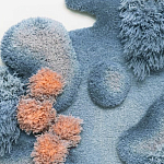 Тканый вручную Большой абстрактный гобелен Frost Forest варинант исполнения - 1 | Loft Concept в Сочи