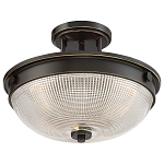 Потолочный светильник со стеклянным плафоном в виде купола Quoizel варинант исполнения - 8 | Loft Concept в Сочи