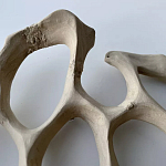 Блюдо «Бежевый коралл» варинант исполнения - 3 | Loft Concept в Сочи