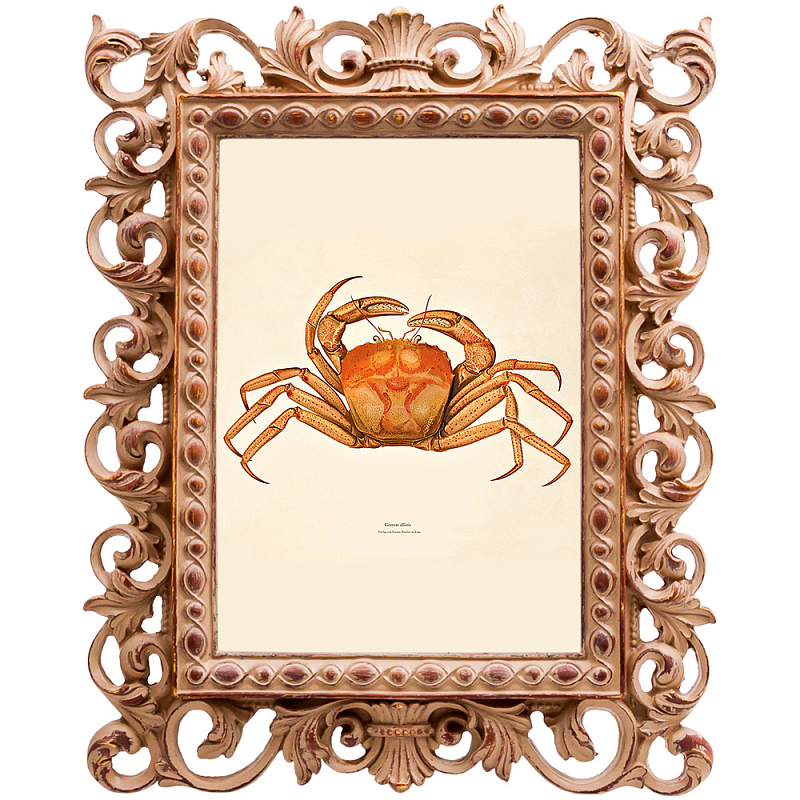 Постер Ocher Crab Poster Бежевый Оранжевый в Сочи | Loft Concept 