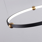 Люстра подвесная светодиодная черный металл Ring Horizontal варинант исполнения - 10 | Loft Concept в Сочи